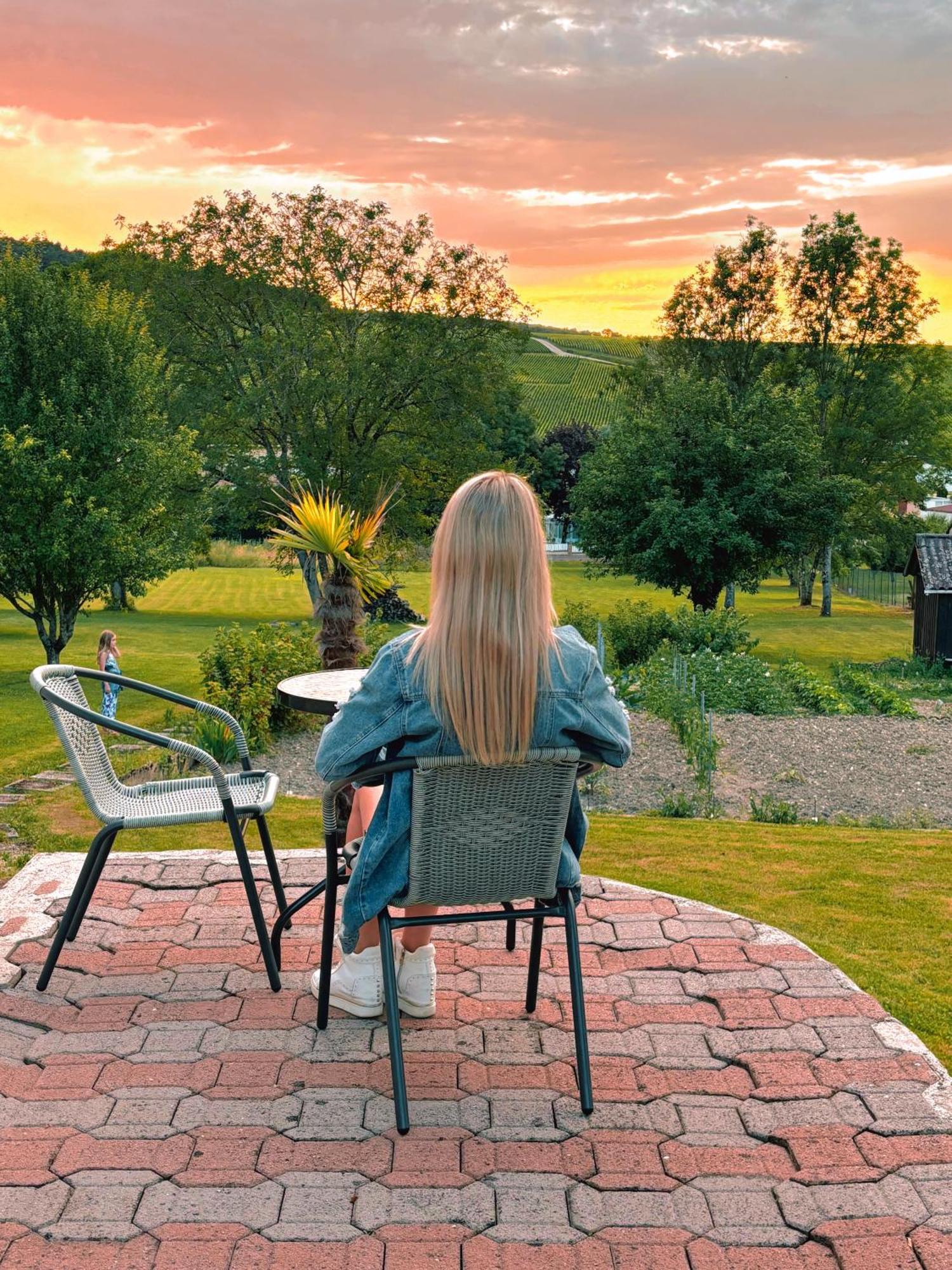 La Jonquille Villa Baroville Eksteriør billede